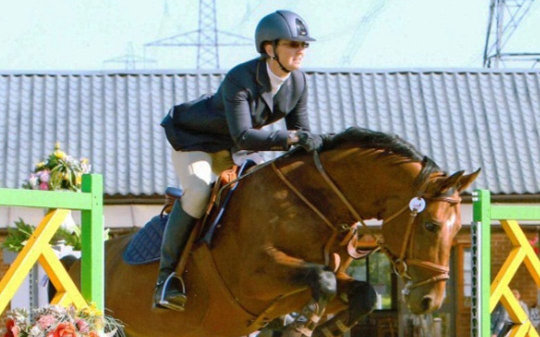 What is A Livery and What Are The Common Types of Livery in Bedford?